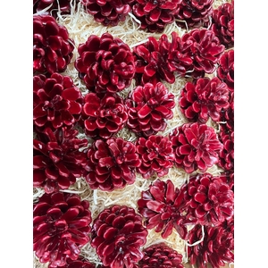 Dennenappel Wax Bordeaux