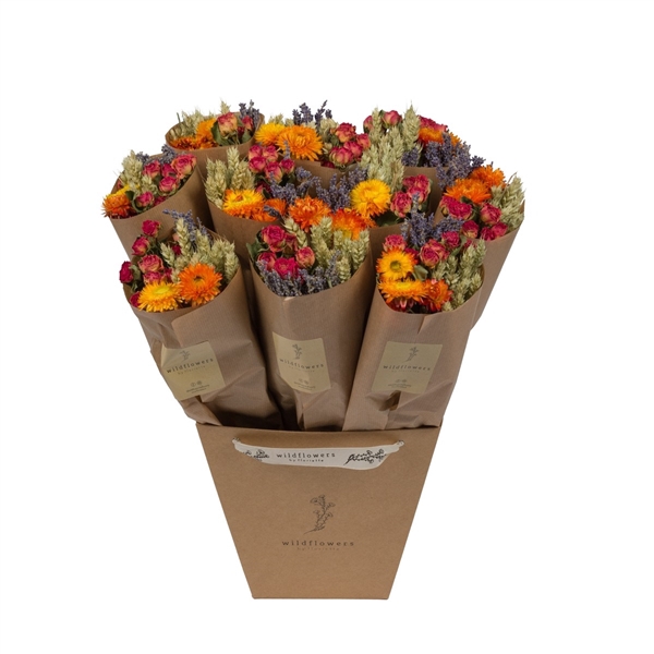 <h4>Droogbloemen-Market More 50cm - Orange</h4>