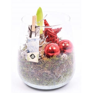 Glas vaas 14cm/ h 17cm