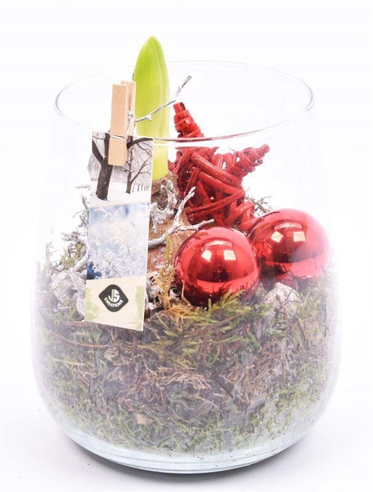 <h4>Glas vaas 14cm/ h 17cm</h4>