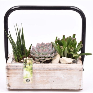 Hout rechthoek met hendel 26x11cm