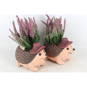 arr4 Outdoor PL - Ker. egel met hoed 401/3