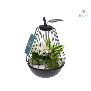 Peer metaal zwart Small met arrangement