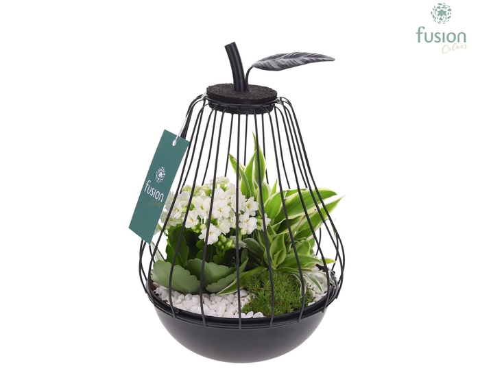 <h4>Peer metaal zwart Small met arrangement</h4>