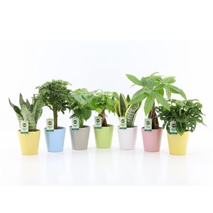 Easy to Care Mix in Pastel Keramiek