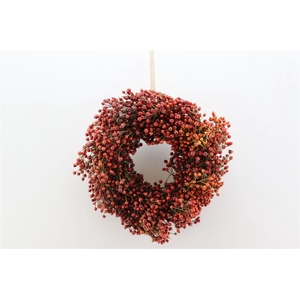 Wr Sierfruit Rozebottel Corallo Oranje 30cm