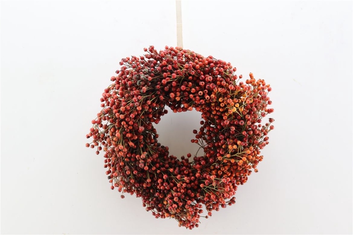 <h4>Wr Sierfruit Rozebottel Corallo Oranje 30cm</h4>