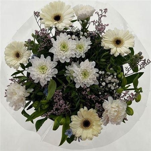 Gem Boe Middel Wit 25 Stelen Vers