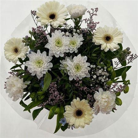 <h4>Gem Boe Middel Wit 25 Stelen Vers</h4>