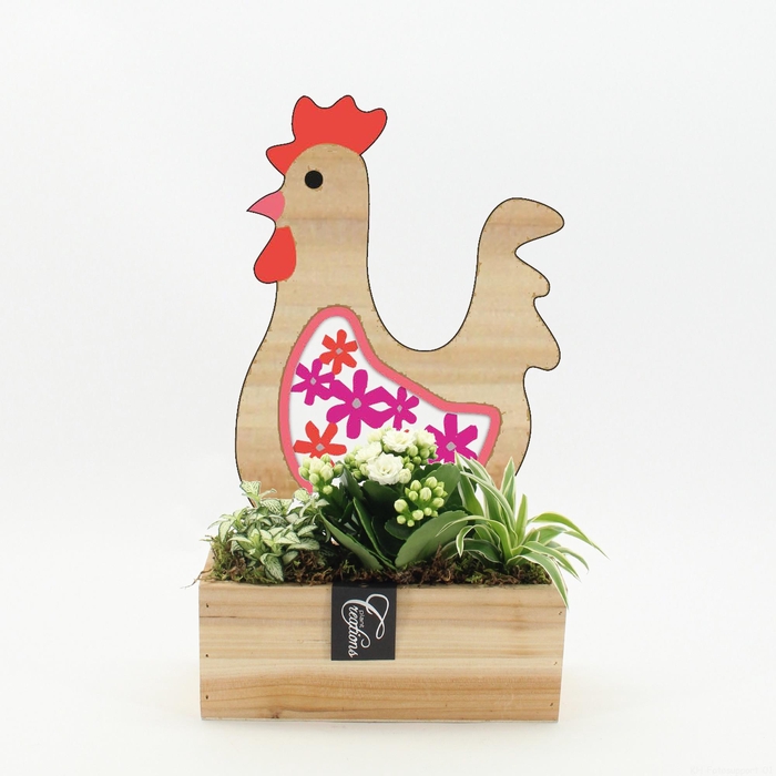 <h4>ARR PASEN H%</h4>