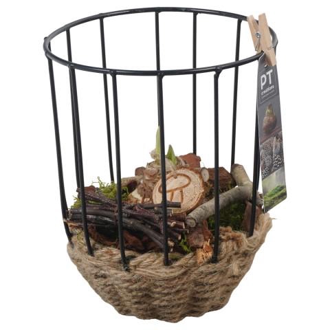 <h4>PTAA7558 Arrangementen Hippeastrum</h4>