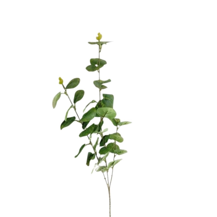 <h4>Kunstbloemen Eucalyptus 80cm</h4>