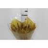 PLANTA SECA BUQUE VARIADO PROFETIC PROSPERIDADE 50CM