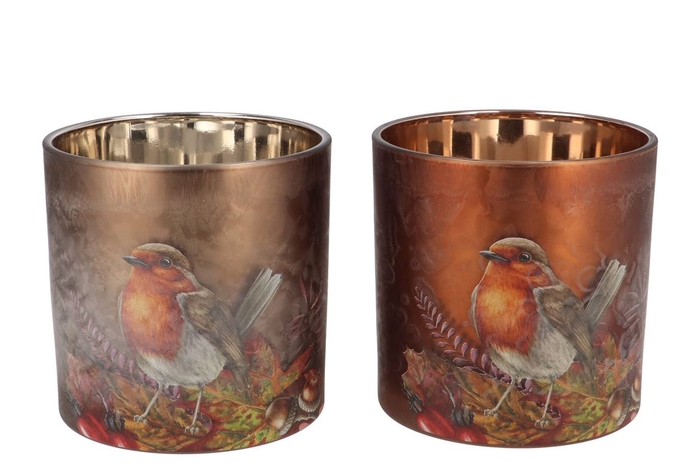 <h4>Ruby Scottish Brown T-light Bird Ass 15x15cm</h4>
