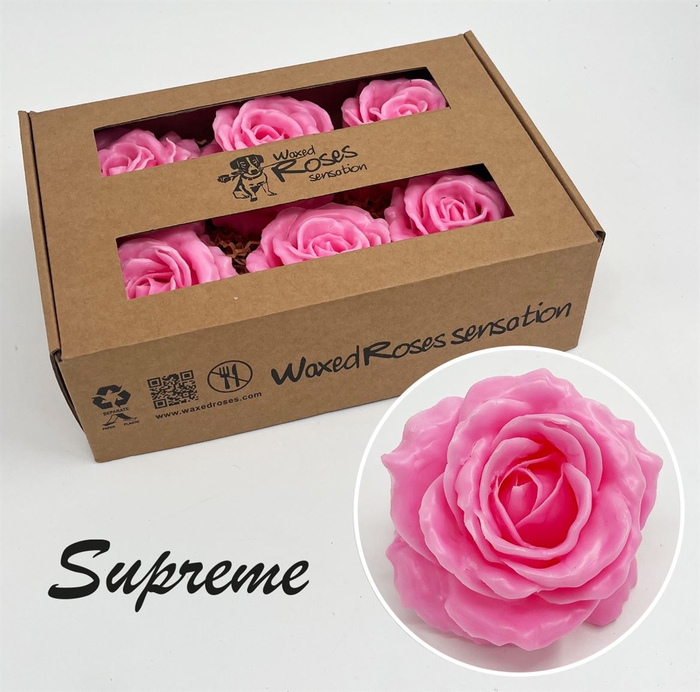 <h4>R Zijde Supreme Rose Wx</h4>