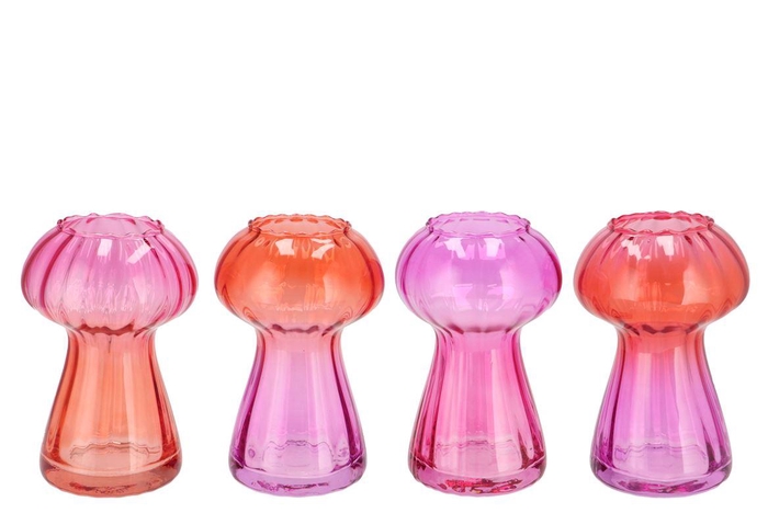 Nova Fuchsia Vase Mushroom Structure Tricolor 11x1