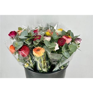 BOUQUET X7 RANUNCULUS CINEREA MIX E