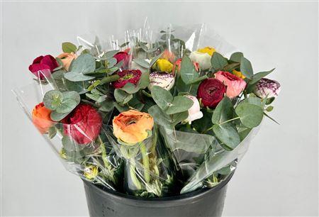 <h4>BOUQUET X7 RANUNCULUS CINEREA MIX E</h4>
