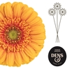 GE MI DELPHI DENS