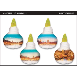 A.BULB of Art - 36cm Amsterdam Mix
