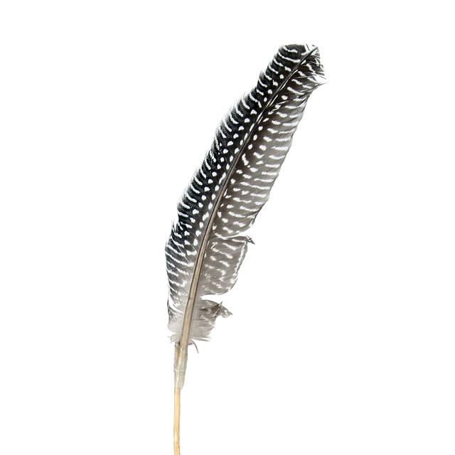 Pick grouse feather 20cm+12cm stick