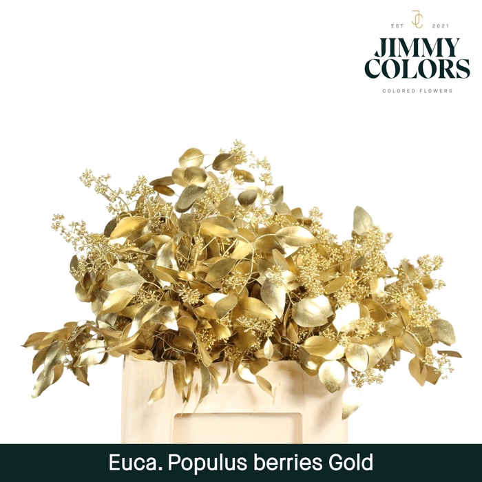 <h4>Pop Bes Per Bos 200g Gold</h4>