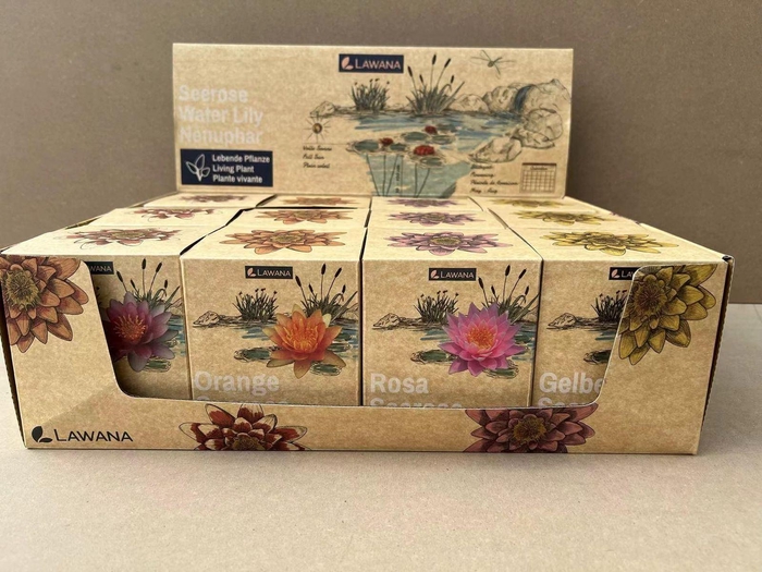 <h4>Overig waterplanten</h4>