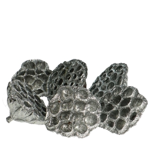 Christmas Deco lotus glitter d08/10cm x6