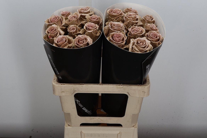 Wax-Rozen Wax Caramel w26