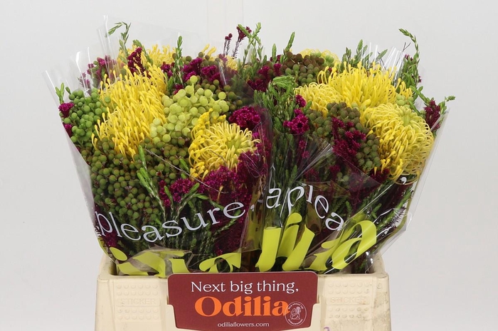 <h4>BQ Nutans High Gold 3 Flower</h4>