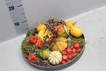 Arr Sierfruit In Zinken Schaal