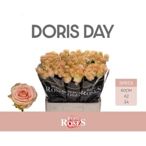R GR DORIS DAY