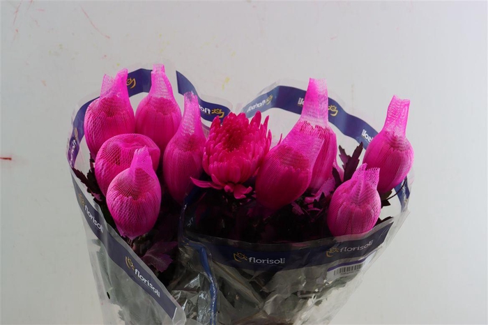 <h4>Chr G Kbh Tinted Cerise</h4>