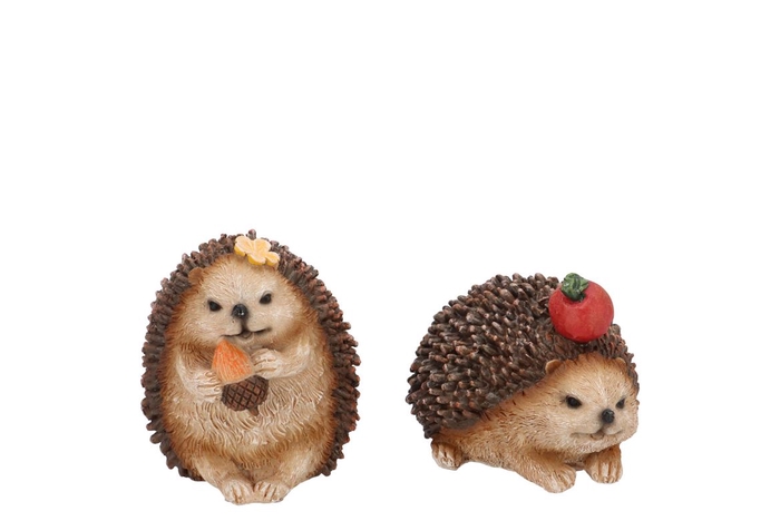 <h4>Hedgehog 8x8x9cm</h4>
