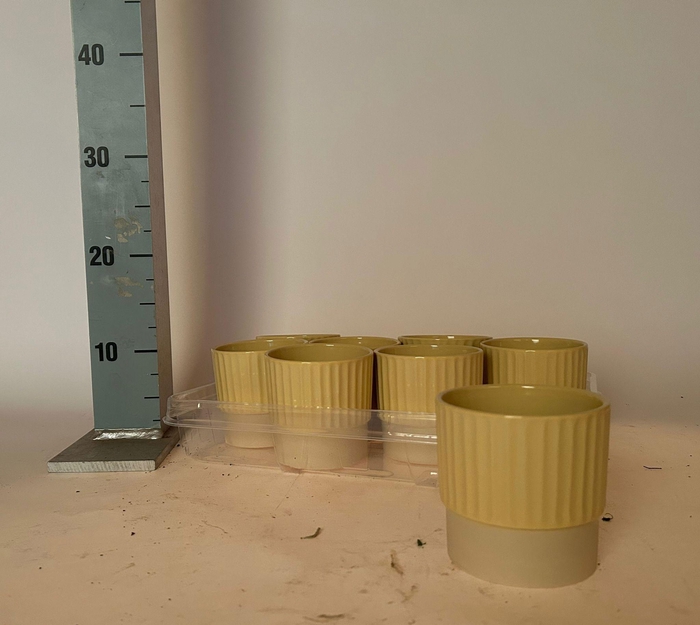 <h4>KERAMISCHE POT H%</h4>