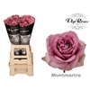 R GR MONT MARTRE+ x 20