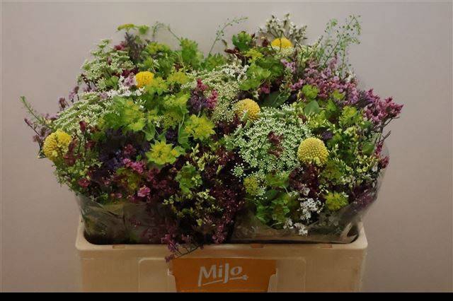 <h4>GEM ZOMERBOEKET</h4>