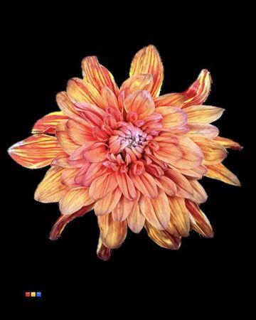 <h4>Chr T 2 Kl Baltica Aruba</h4>