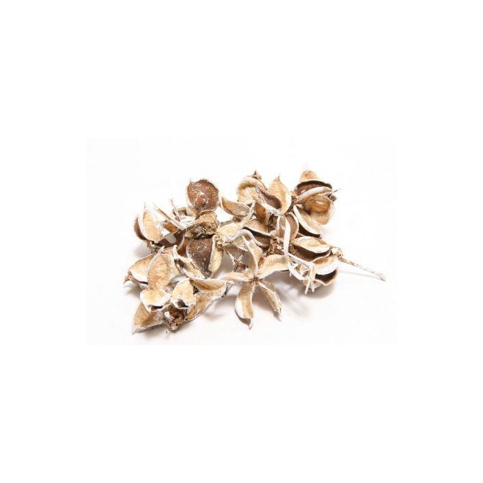 <h4>Cotton Pods 150g</h4>