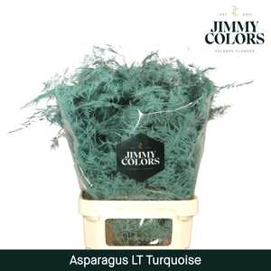 Aspa lang getopt Turquoise