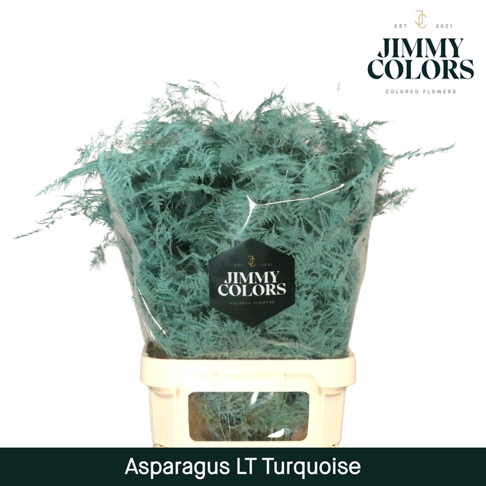 <h4>Aspa lang getopt Turquoise</h4>