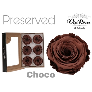 R PRESERVED CHOCO