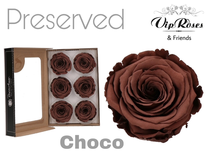 R PRESERVED CHOCO