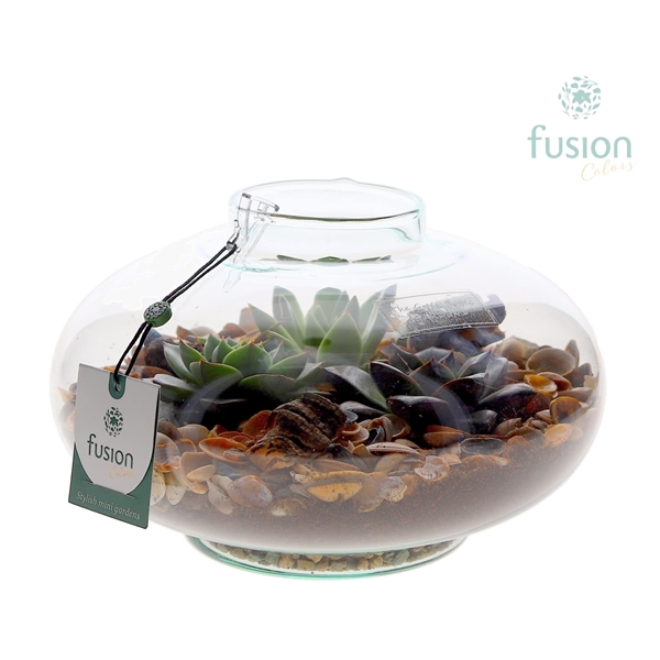 <h4>Green Bottle Luna Large met Maritiem arrangement</h4>