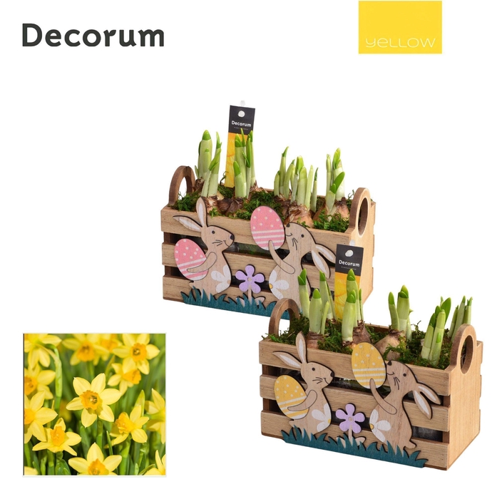 <h4>Narcis Easter Box HL14655 [YELLOW]</h4>