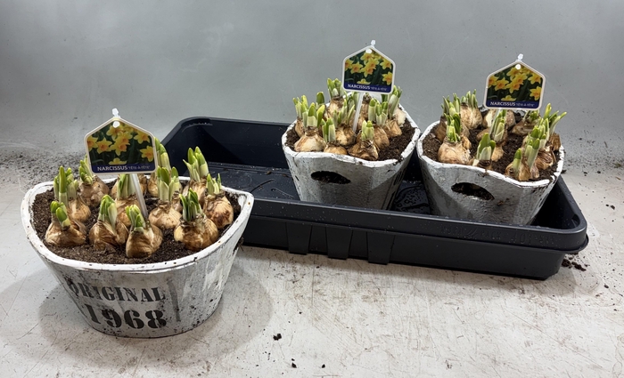 <h4>ARR N TETE A TETE</h4>