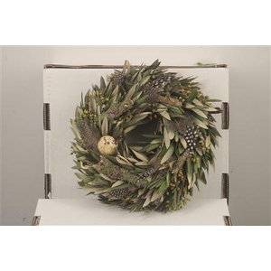Wreath Olive Spring 20cm