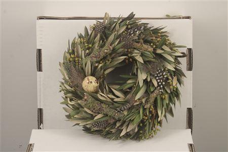 <h4>Wreath Olive Spring 20cm</h4>