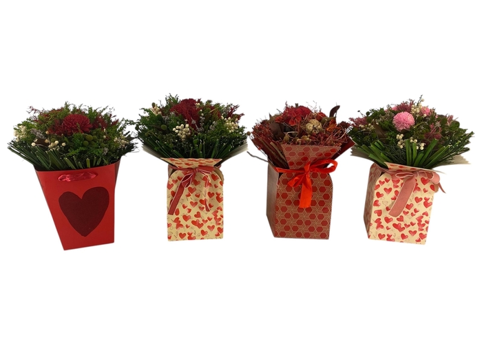 <h4>DROOGBL BEWERKT H%</h4>