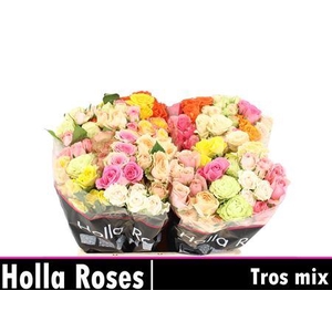 R Tr Tros Mix